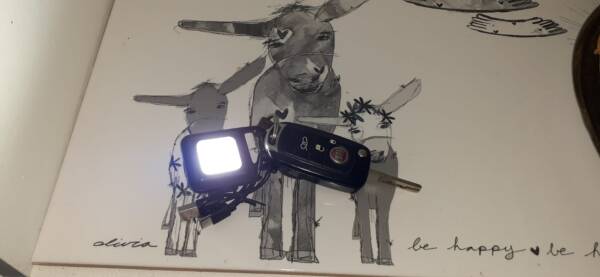 Rechargeable Keychain Light - Image 2
